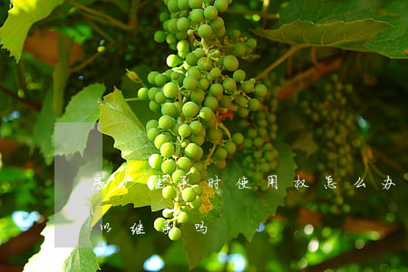 房产继承时使用权怎么办(购买的使用权房可以继承吗)