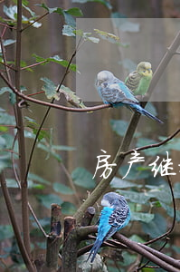 房产继承纠纷八种情况(房产继承法律依据)