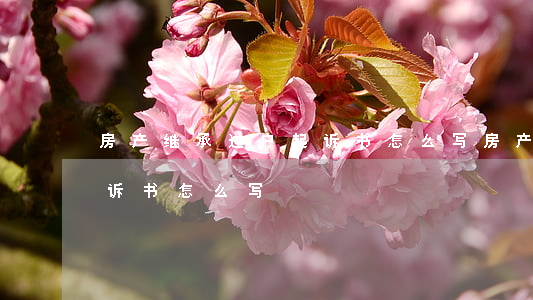 房产继承过户起诉书怎么写(房产继承过户起诉书怎么写)
