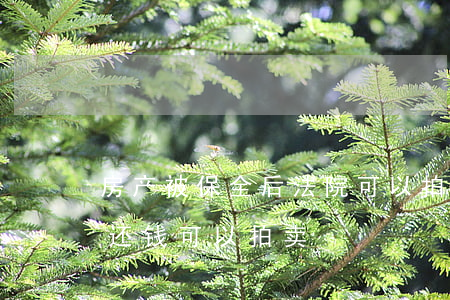 房产被保全后法院可以拍卖吗(房产保全后不还钱可以拍卖)