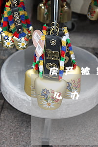 房产被霸占报警会处理吗?(房产被非法侵占怎么办)