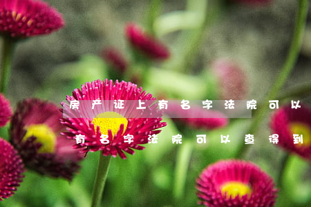 房产证上有名字法院可以查得到吗(房产证上有名字法院可以查得到吗)