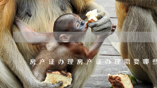 房产证办理(房产证办理需要哪些资料)