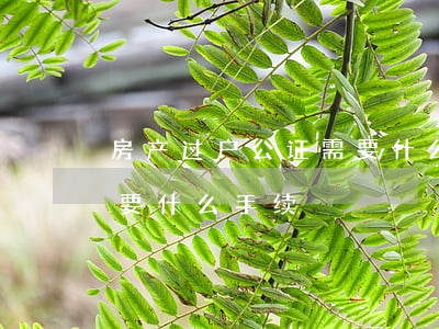 房产过户公证需要什么手续（房产过户公证需要什么手续）