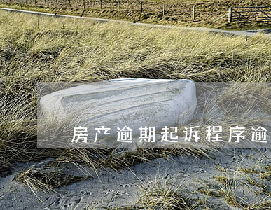 房产逾期起诉程序 逾期办理房产证诉讼