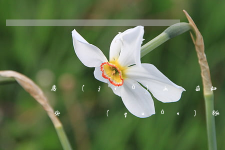房價(jià)上漲后如何避免賣方毀約?這些維權(quán)秘籍拿走不謝!