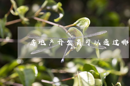 房地产开发商可以通过哪些途径拿地