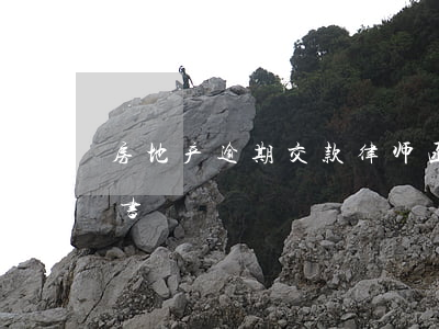 房地产逾期交款律师函(逾期交房违约金起诉书)