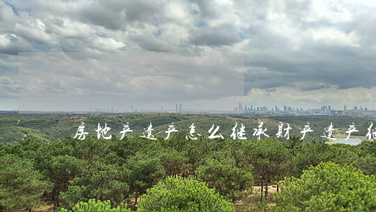 房地产遗产怎么继承(财产遗产继承)