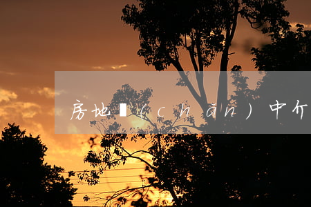 房地產(chǎn)中介合同糾紛有哪些