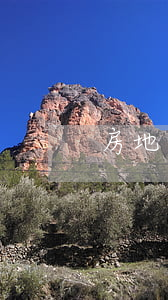 房地產(chǎn)代理銷售合同