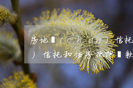 房地產(chǎn)信托(房地產(chǎn)信托和住房抵押貸款的主要區(qū)別)