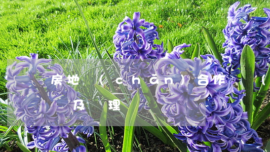 房地產(chǎn)合作開發(fā)的糾紛及處理