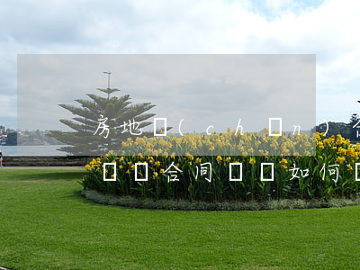 房地產(chǎn)合同糾紛如何處理(房屋買賣合同糾紛如何處理)