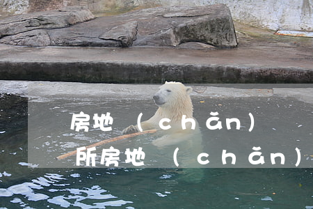 房地產(chǎn)專業(yè)律師事務所(房地產(chǎn)交易咨詢律師)