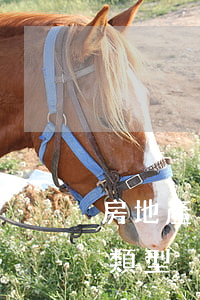 房地產(chǎn)常見的合同糾紛有哪些類型