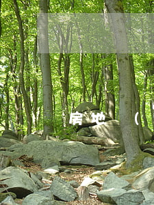 房地產(chǎn)強拆房子定什么罪