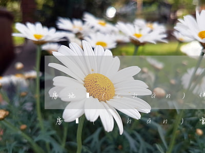 房地產(chǎn)律師官司輸了收費多少(房產(chǎn)官司律師收費是多少比例)