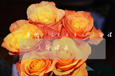 房地產(chǎn)管理法(房地產(chǎn)管理法)