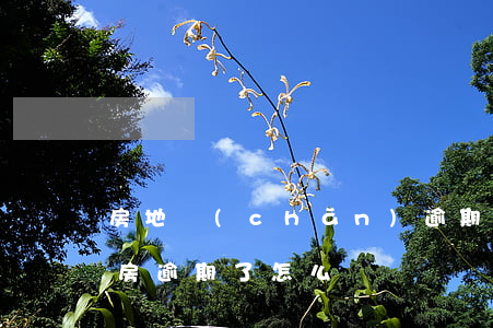 房地產(chǎn)逾期交房怎么辦(房子交房逾期了怎么辦)