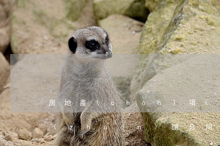 房地產(chǎn)項(xiàng)目轉(zhuǎn)讓合同