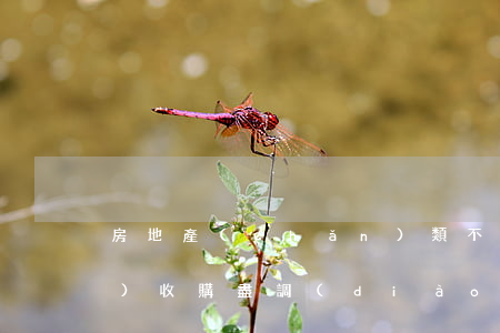 房地產(chǎn)類不良資產(chǎn)收購盡調(diào)4大核心總結(jié)