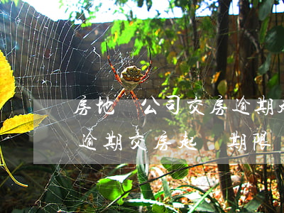 房地產公司交房逾期起訴-開發(fā)商逾期交房起訴期限