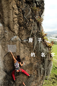 房子上有老婆的名字離婚怎么分(房子是夫妻的名字離婚怎么分)