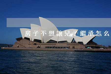 房子不想讓兒子繼承怎么辦(房子不能繼承)