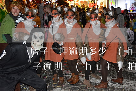 房子二押逾期多少會(huì)起訴(二押房子逾期會(huì)拍賣嗎)