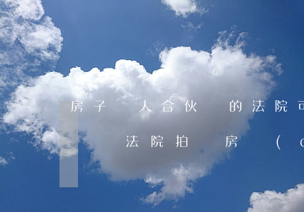房子倆人合伙買的法院可以拍賣嗎(幾人合伙購買法院拍賣房產(chǎn))