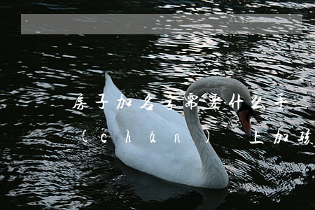 房子加名字需要什么手續(xù)繼承(房產(chǎn)證上加孩子名字,孩子可以直接繼承嗎)