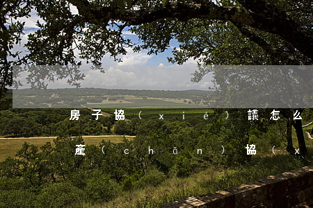 房子協(xié)議怎么寫才有效(自己寫房產(chǎn)協(xié)議怎么簽有效)