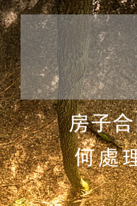 房子合同糾紛如何處理(房屋買賣合同糾紛如何處理)