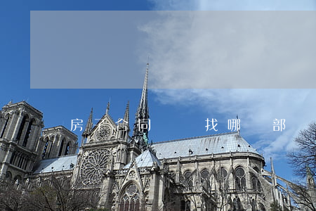 房子合同糾紛找哪個部門