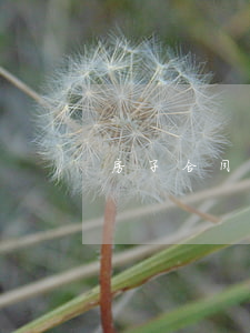 房子合同纠纷找哪个部门