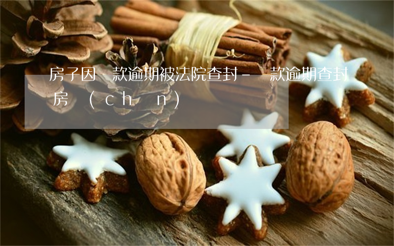 房子因貸款逾期被法院查封-貸款逾期查封房產(chǎn)