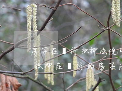 房子在銀行抵押法院可以執(zhí)行嗎(抵押在銀行的房子法院還可以再執(zhí)行嗎)