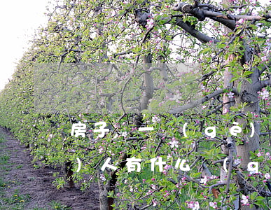 房子寫一個(gè)人的名字和兩個(gè)人有什么區(qū)別（房產(chǎn)證加名字什么流程）