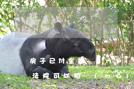 房子已付全款沒(méi)過(guò)戶法院可以拍賣(mài)嗎(法院拍賣(mài)的房子必須全款嗎)