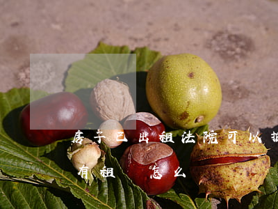 房子已出租法院可以拍賣嗎(司法拍賣的房子有租賃怎么辦)