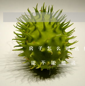 房子怎么赠送给夫妻一方(夫妻共同房产一方能不能赠送)