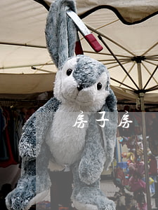 房子房貸逾期多久才拍賣(房貸違約多久就拍賣)