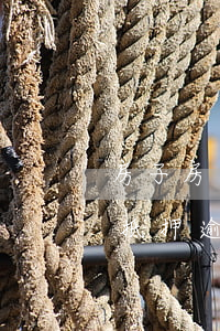 房子房貸逾期抵押貸款嗎(房產(chǎn)抵押逾期怎么辦)