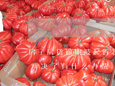 房子房贷逾期被起诉怎么办(房贷逾期被起诉判决了有什么办法)