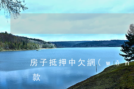 房子抵押中欠網(wǎng)貸(房屋抵押欠款)