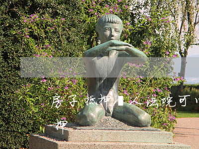 房子抵押給人法院可以拍賣嗎(法院拍賣有抵押)