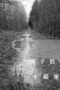 房子抵押貸款信用卡有逾期(房貸沒逾期信用卡嚴重逾期)