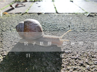 房子抵押貸款逾期嗎(房子抵押貸款逾期一個月問題嚴重嗎)