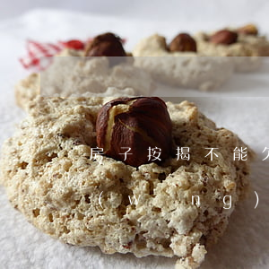 房子按揭不能欠網(wǎng)貸嗎(有欠網(wǎng)貸能貸款買房嗎)